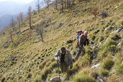 Alpi_Apuane (374), Alpinismo (498), Fucceri F (12), Gr_Croce_Nona (107), Mariano M (24), Monte Croce (80)